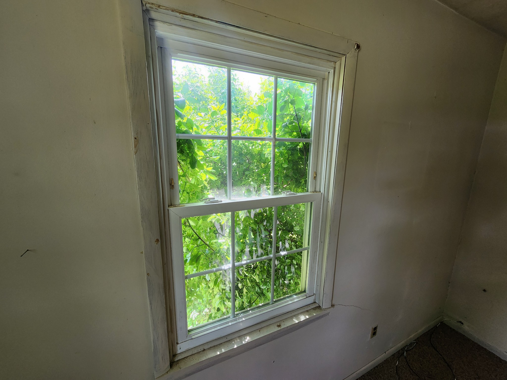 76 Boyds Landing Road Cadiz, KY 42211 - Photo 24 of 24