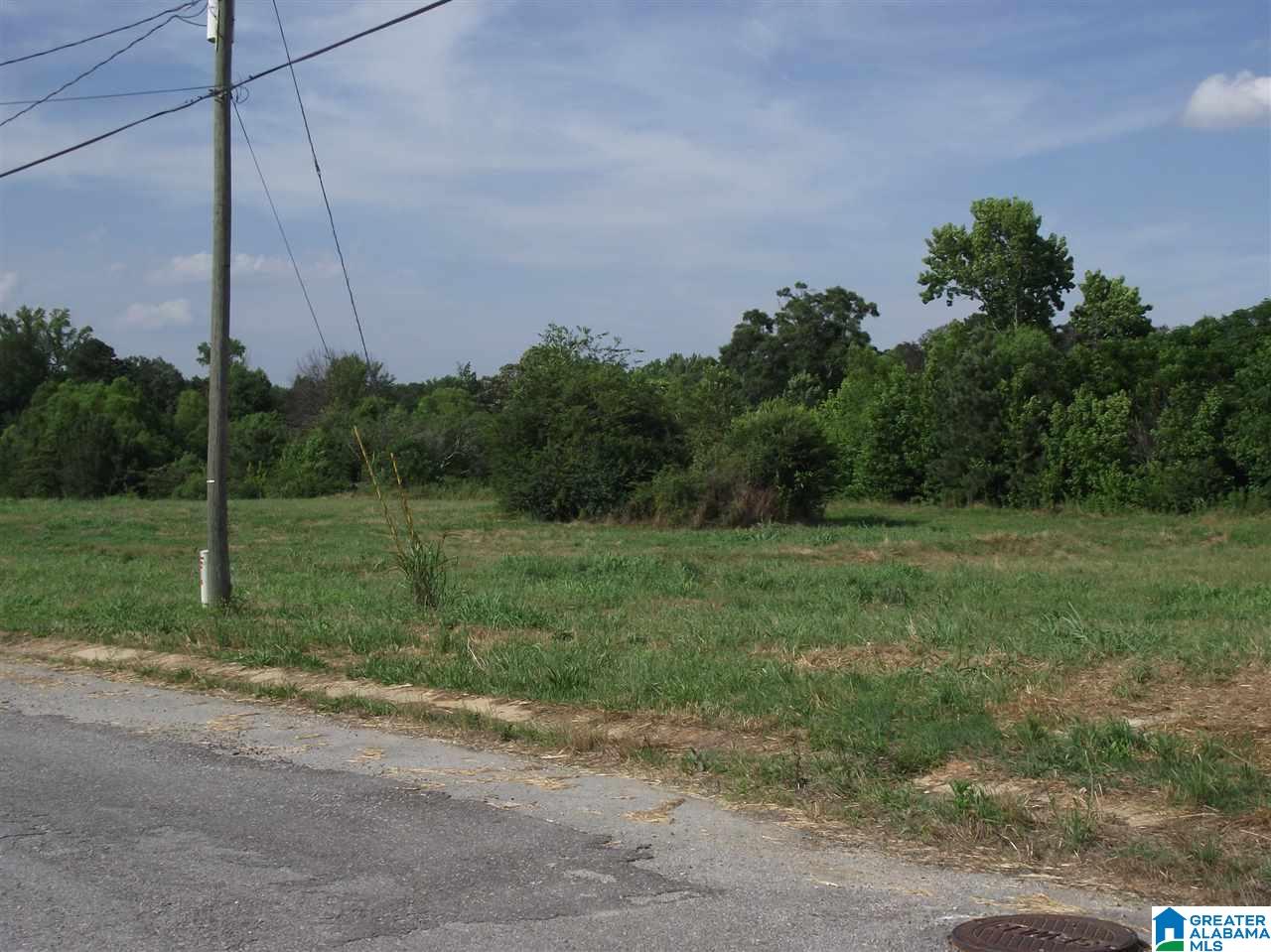 0 Logan Farms Road, Unit 1 Vance, AL 35490 - Photo 3 of 18