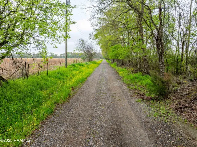 $175,000 | 0 Brinkhaus Road, Sunset, LA 70584