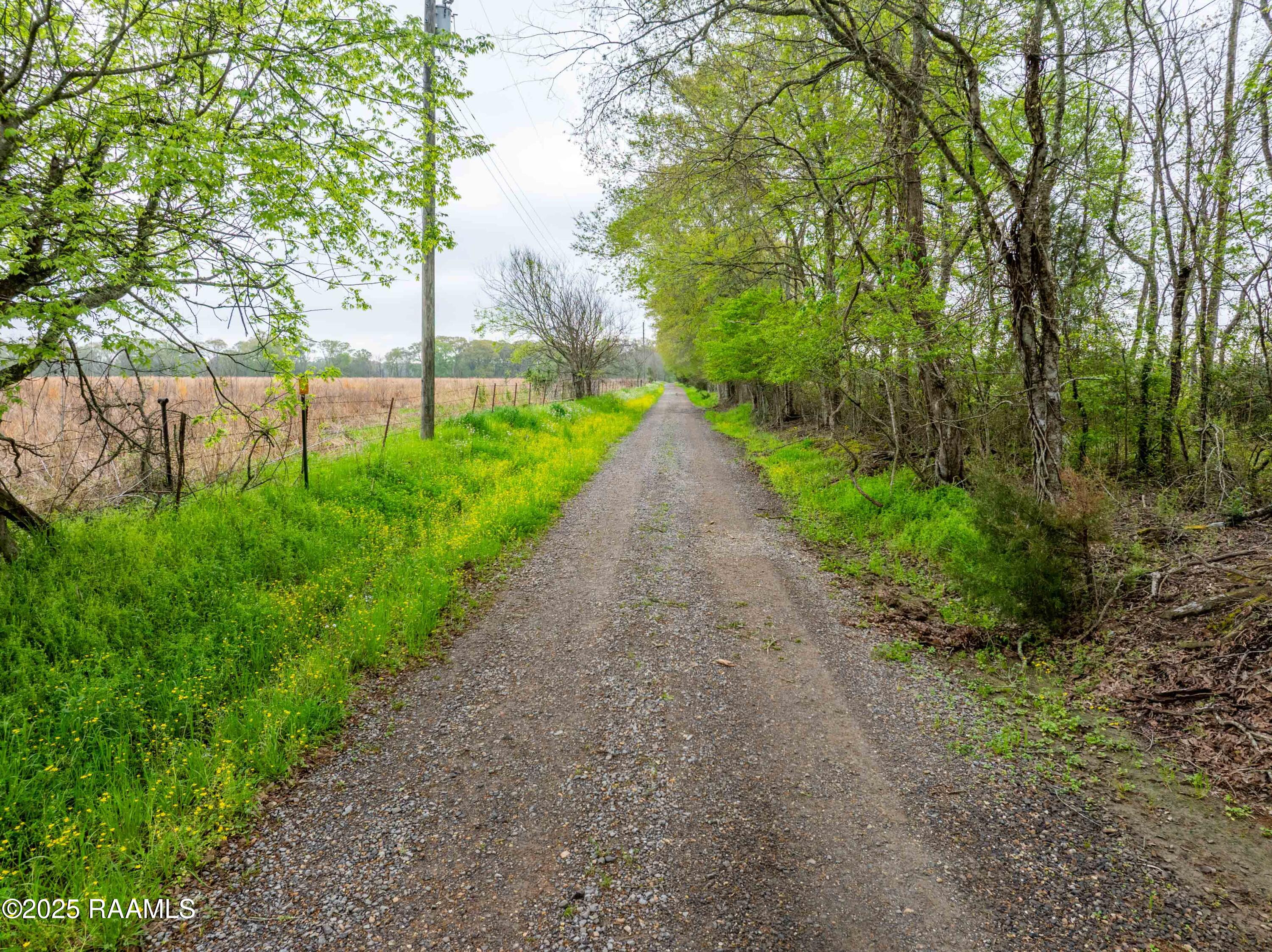 0 Brinkhaus Road Sunset, LA 70584 - Photo 5 of 5 TBDBrinkhaus-11