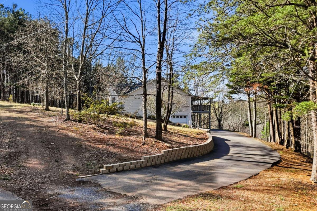 1139 Davis Road West Fairmount, GA 30139 - Photo 3 of 43