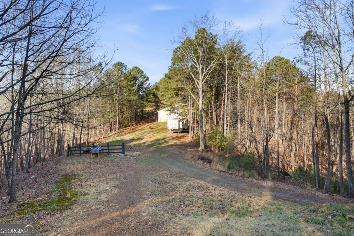 1139 Davis Road West Fairmount, GA 30139 - Photo 32 of 43