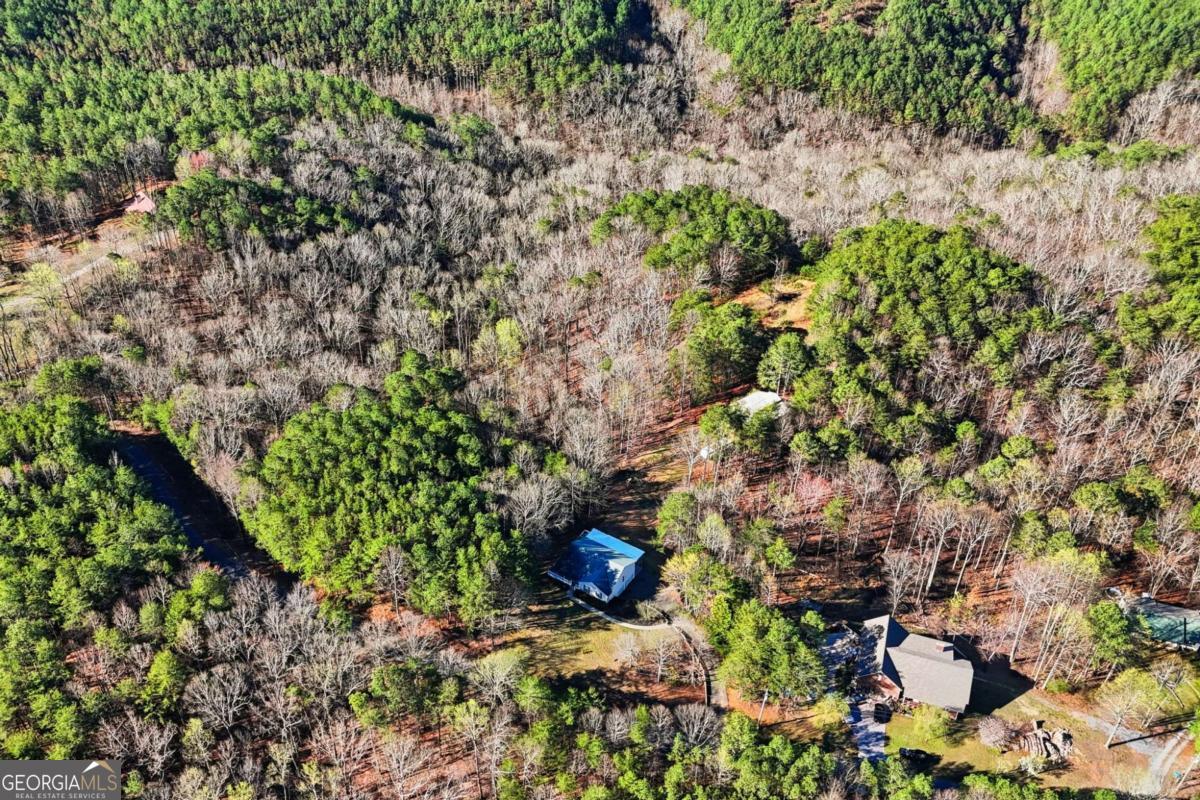 1139 Davis Road West Fairmount, GA 30139 - Photo 40 of 43