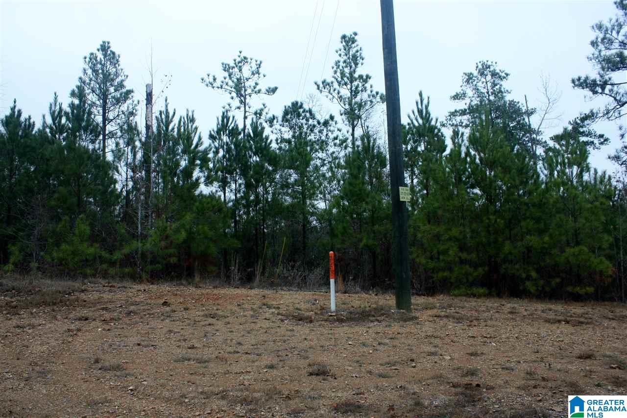 Shoreside Lane, Unit 201 Sylacauga, AL 35151 - Photo 15 of 15