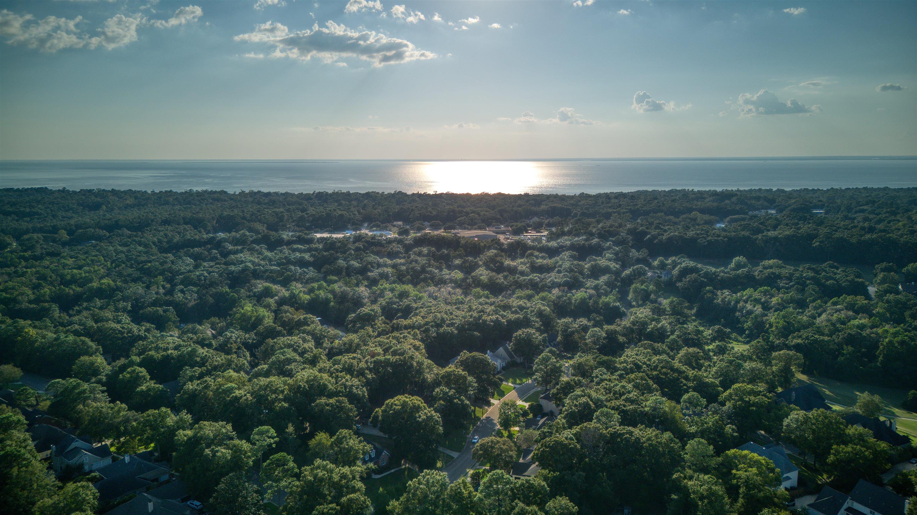 111 Beaver Dam Road Fairhope, AL 36532 - Photo 51 of 51 Aerial View