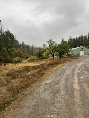a view of dirt field with trees