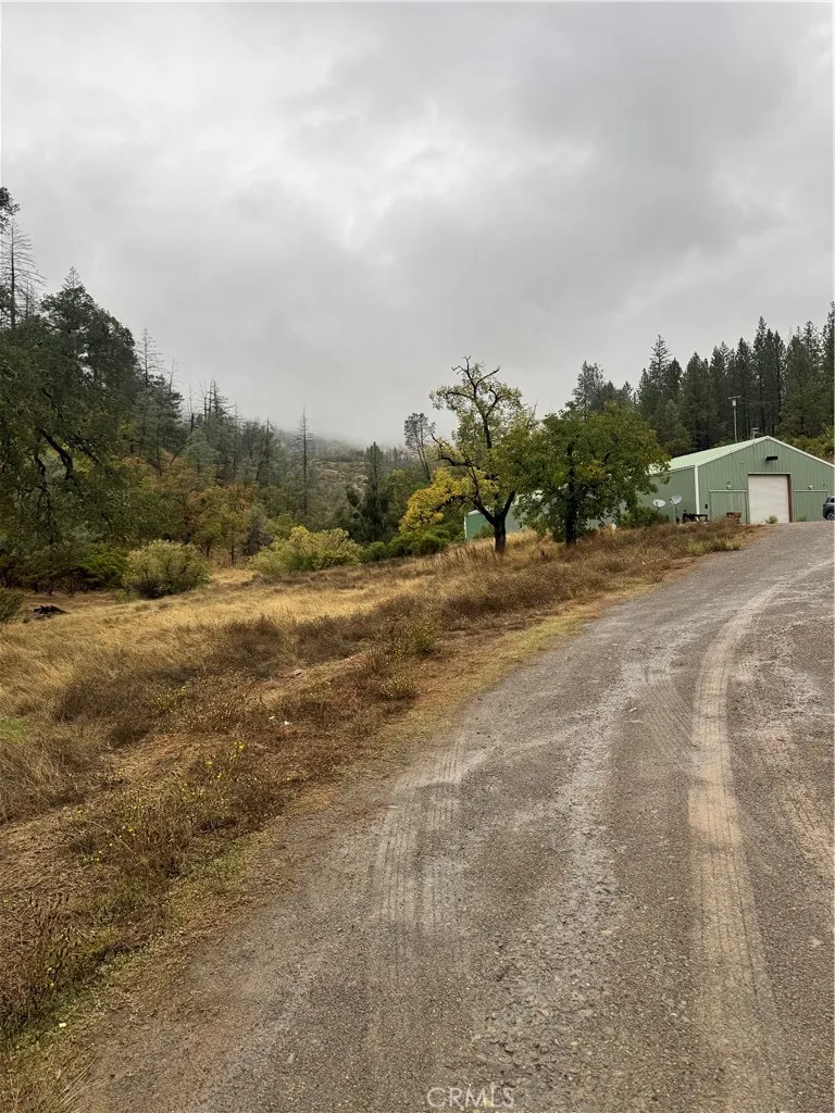 a view of dirt field with trees