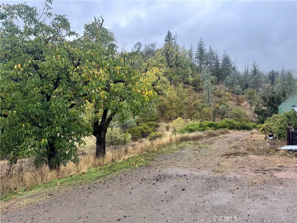 21575 My Middletown, CA 95461 - Photo 11 of 12 a view of a dirt road with large trees