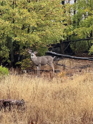 $249,000 | 21575 My, Middletown, CA 95461