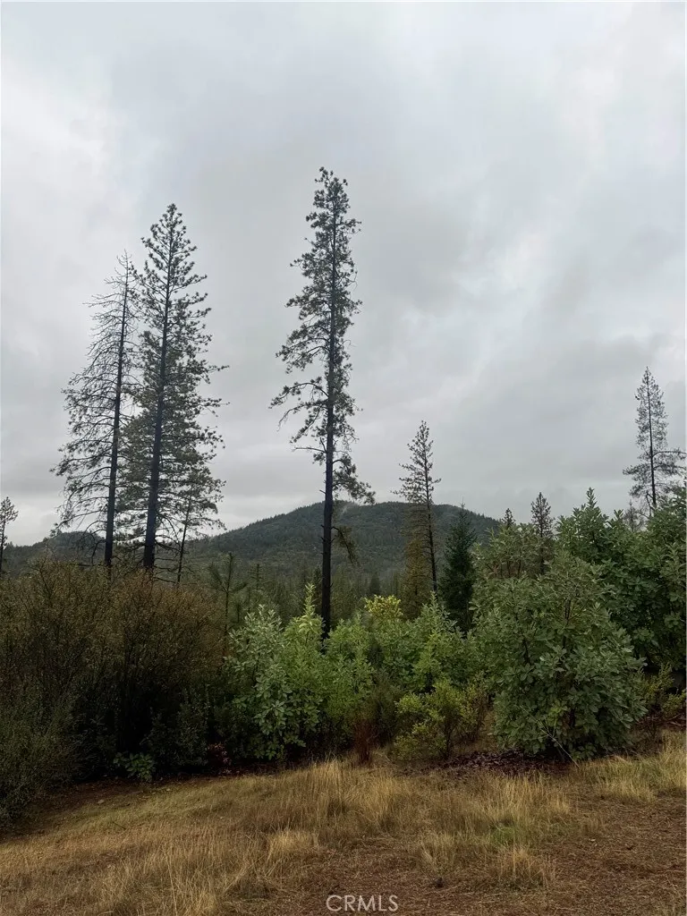 21575 My Middletown, CA 95461 - Photo 4 of 12 a view of a yard