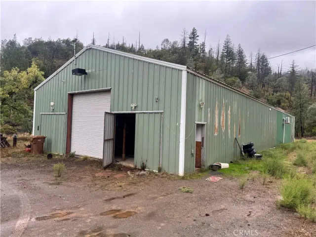a view of a yard with large trees