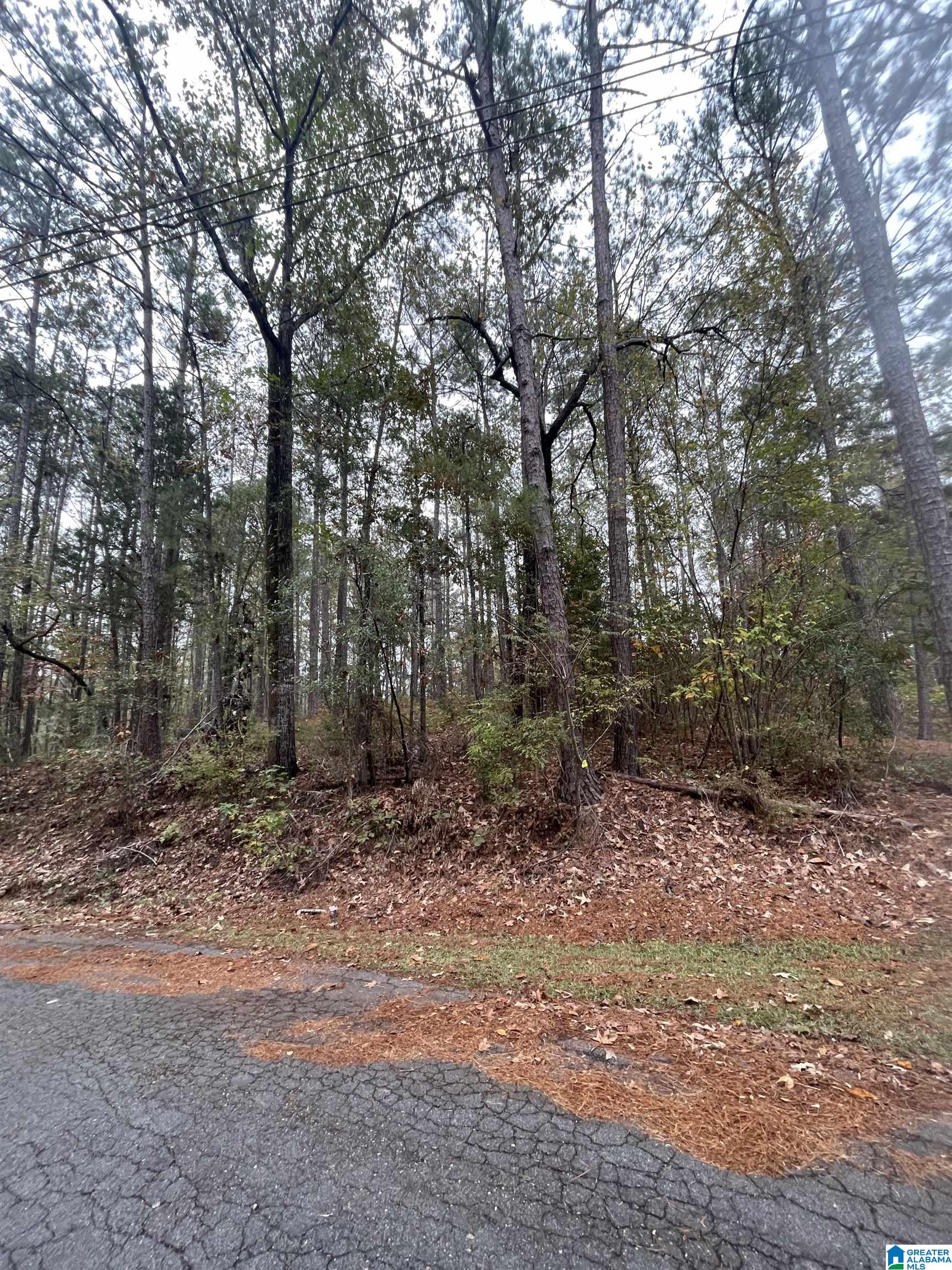 0 Coosa Road, Unit 170 Titus, AL 36080 - Photo 4 of 4