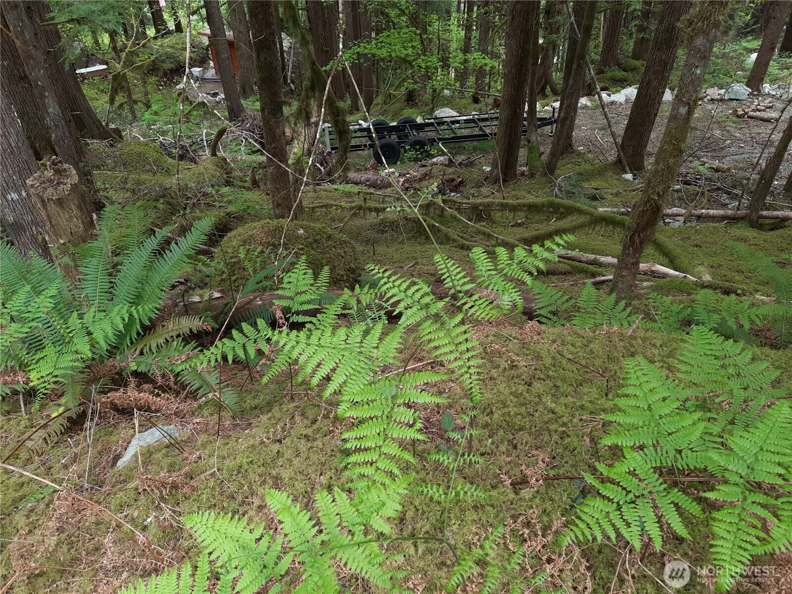0 Cascade River Road Marblemount, WA 98267 - Photo 9 of 10 Gallery Image 9