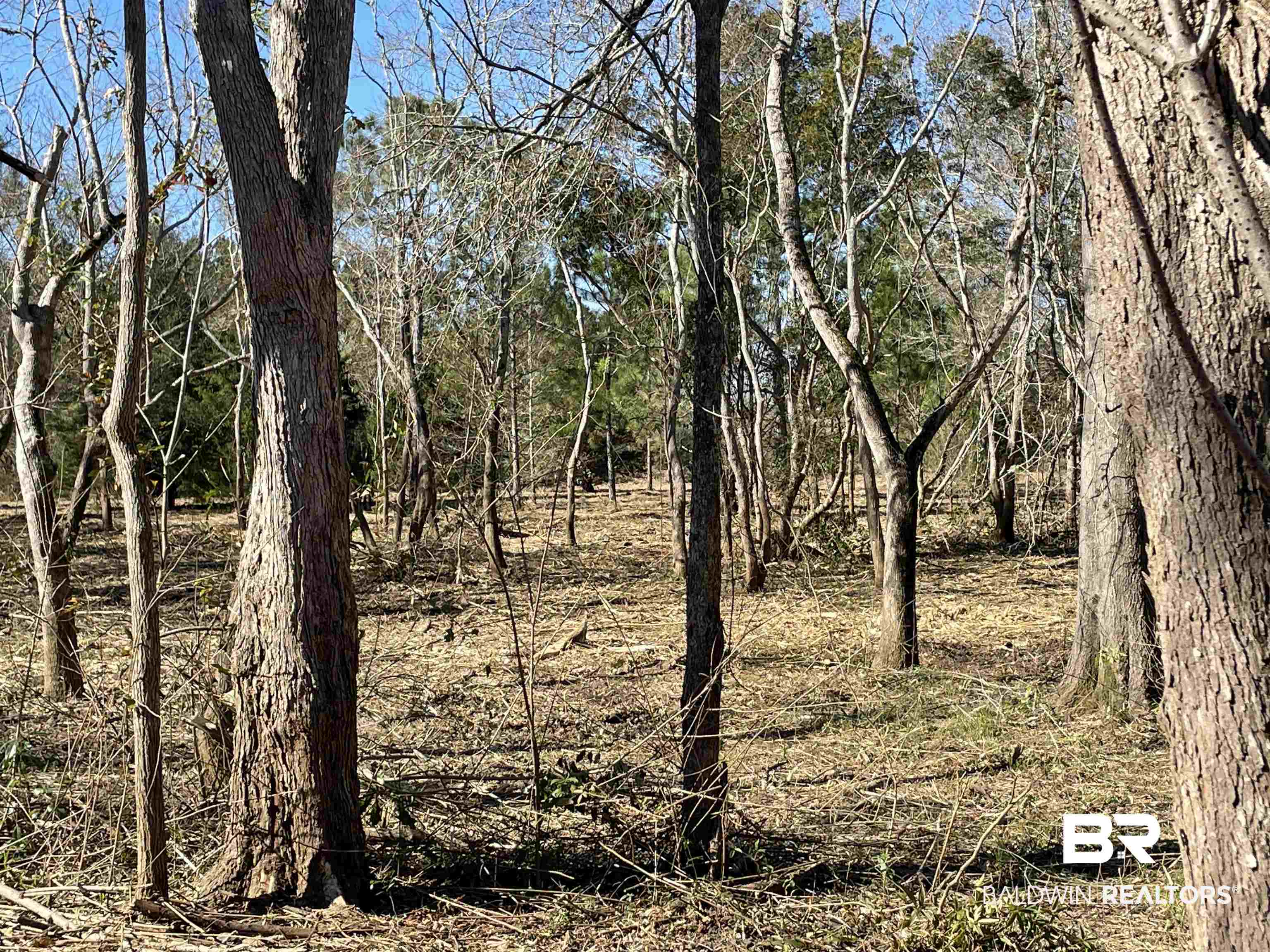 0 Makaira Drive Foley, AL 36535 - Photo 20 of 33