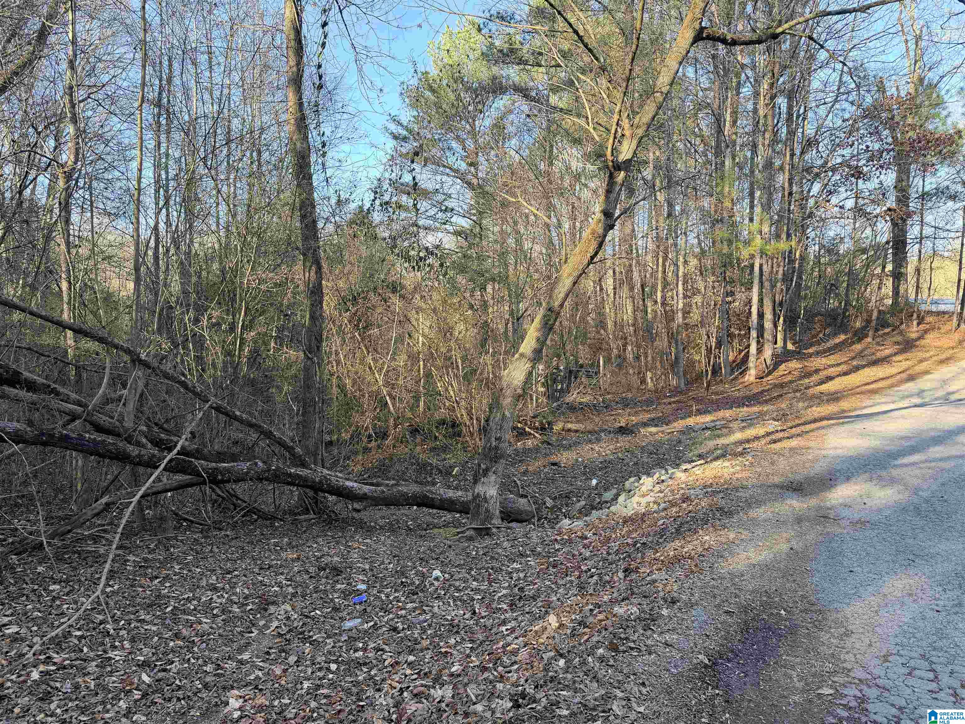 2 Scott Road Cordova, AL 35550 - Photo 1 of 8