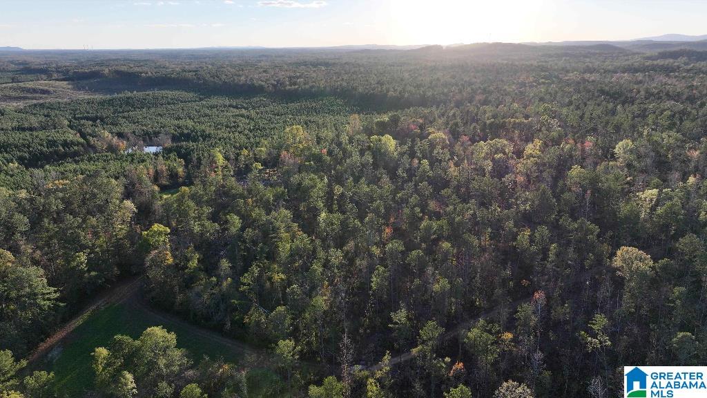 200 Kelly Creek Road Odenville, AL 35120 - Photo 24 of 47