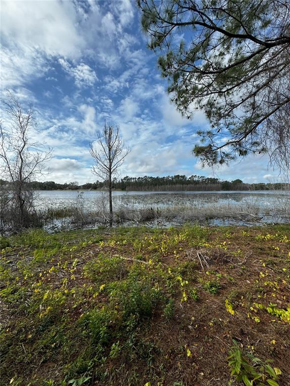 1 Keene Road Umatilla, FL 32784 - Photo 1 of 1 Gallery Image 1