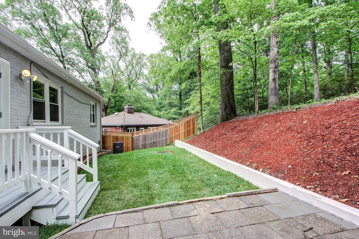 8317 Piney Branch Road Silver Spring, MD 20910 - Photo 29 of 30 STAIRS LEADING TO LUSH YARD AND STONE PATIO