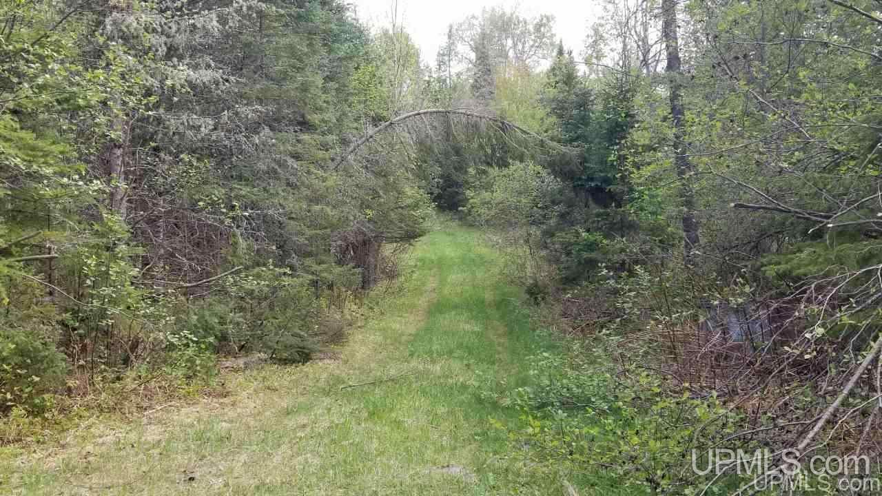 Tbd Fr 3470 Road Iron River, MI 49935 - Photo 20 of 31