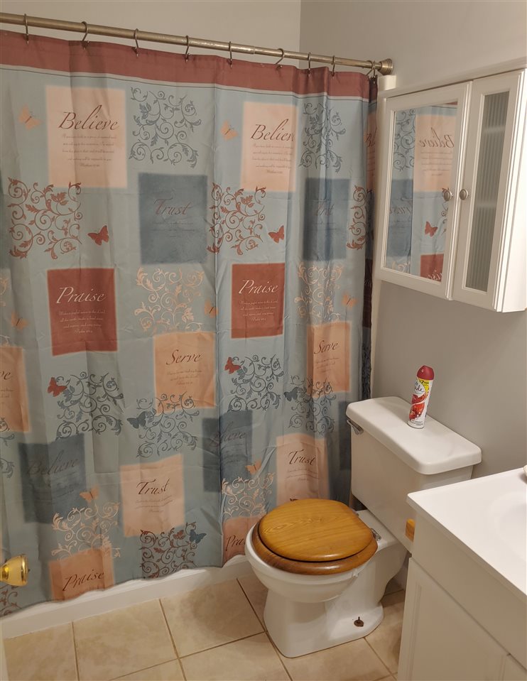 866 Augusta Farms Road Waynesboro, VA 22980 - Photo 23 of 28 a bathroom with a toilet and a shower