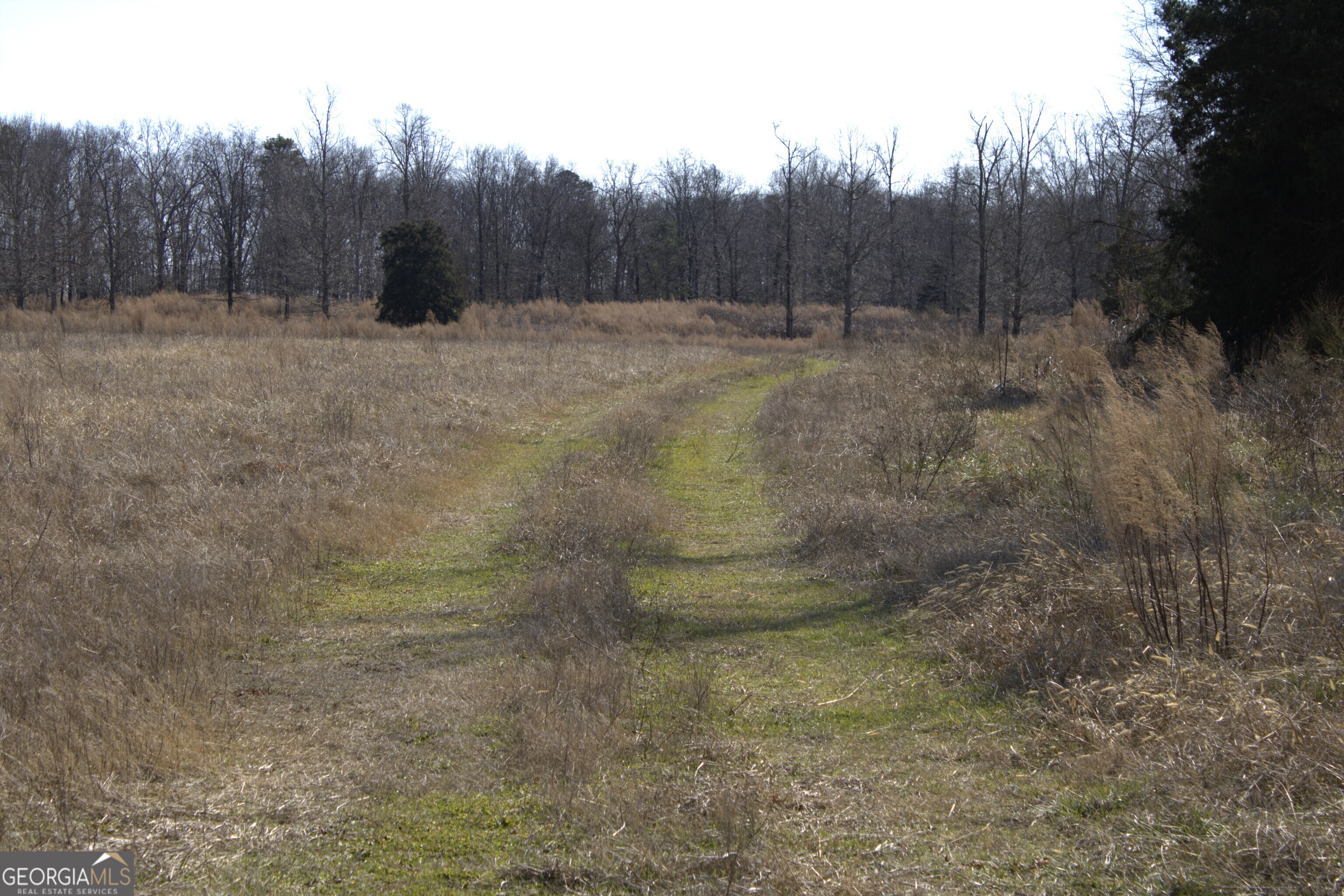 0 Nancy Hart School Road Hartwell, GA 30643 - Photo 3 of 10