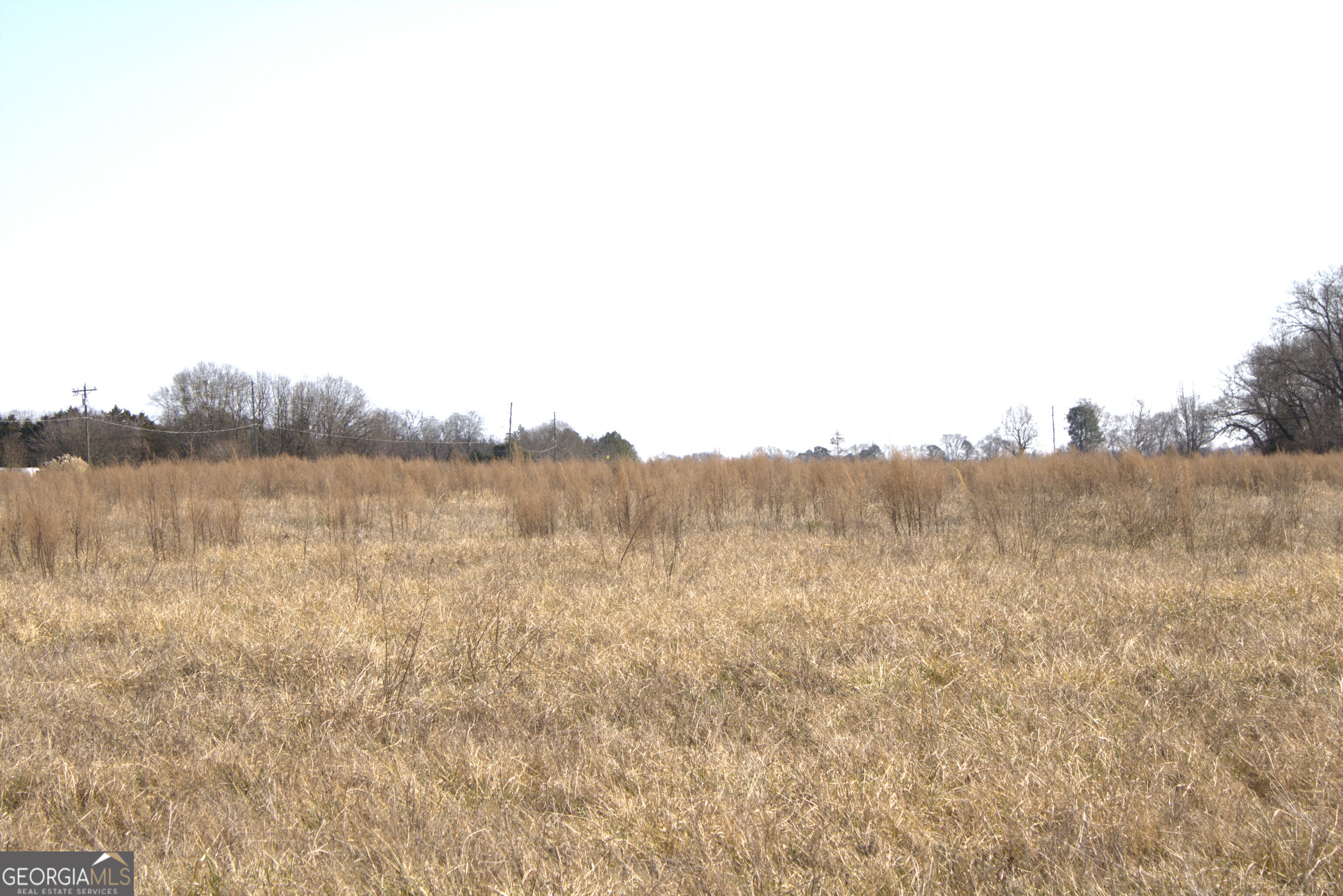 0 Nancy Hart School Road Hartwell, GA 30643 - Photo 4 of 10