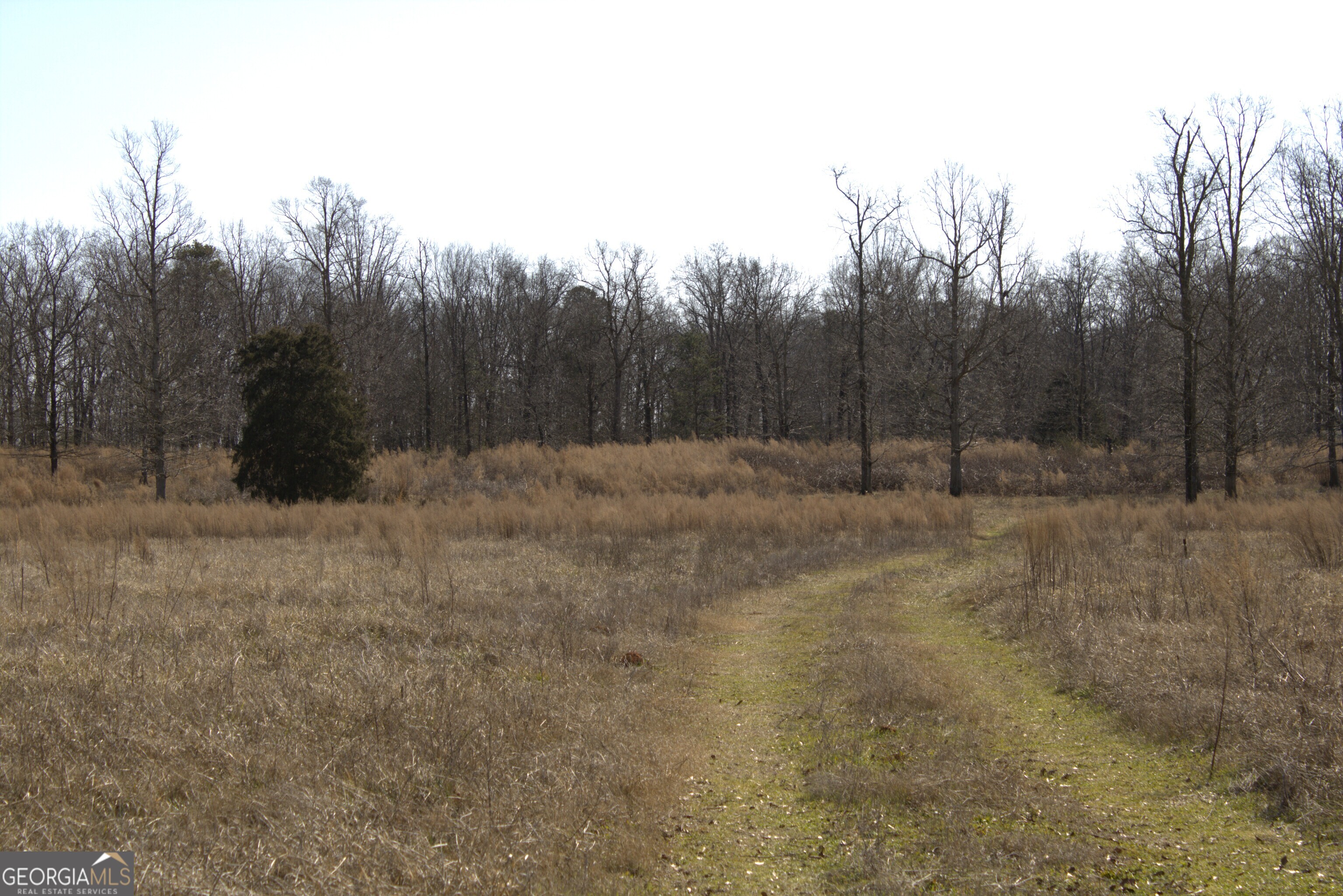 0 Nancy Hart School Road Hartwell, GA 30643 - Photo 5 of 10