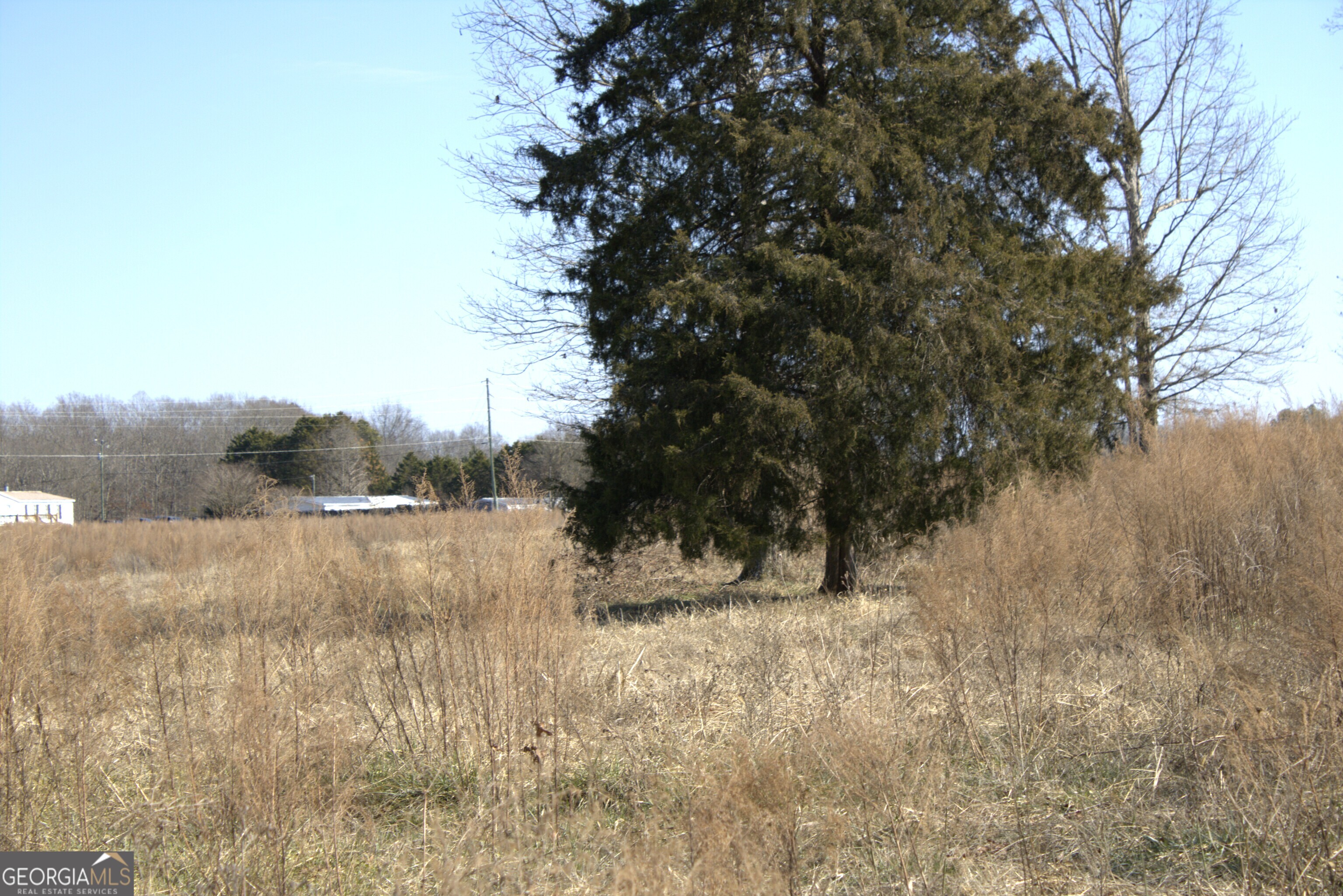 0 Nancy Hart School Road Hartwell, GA 30643 - Photo 6 of 10