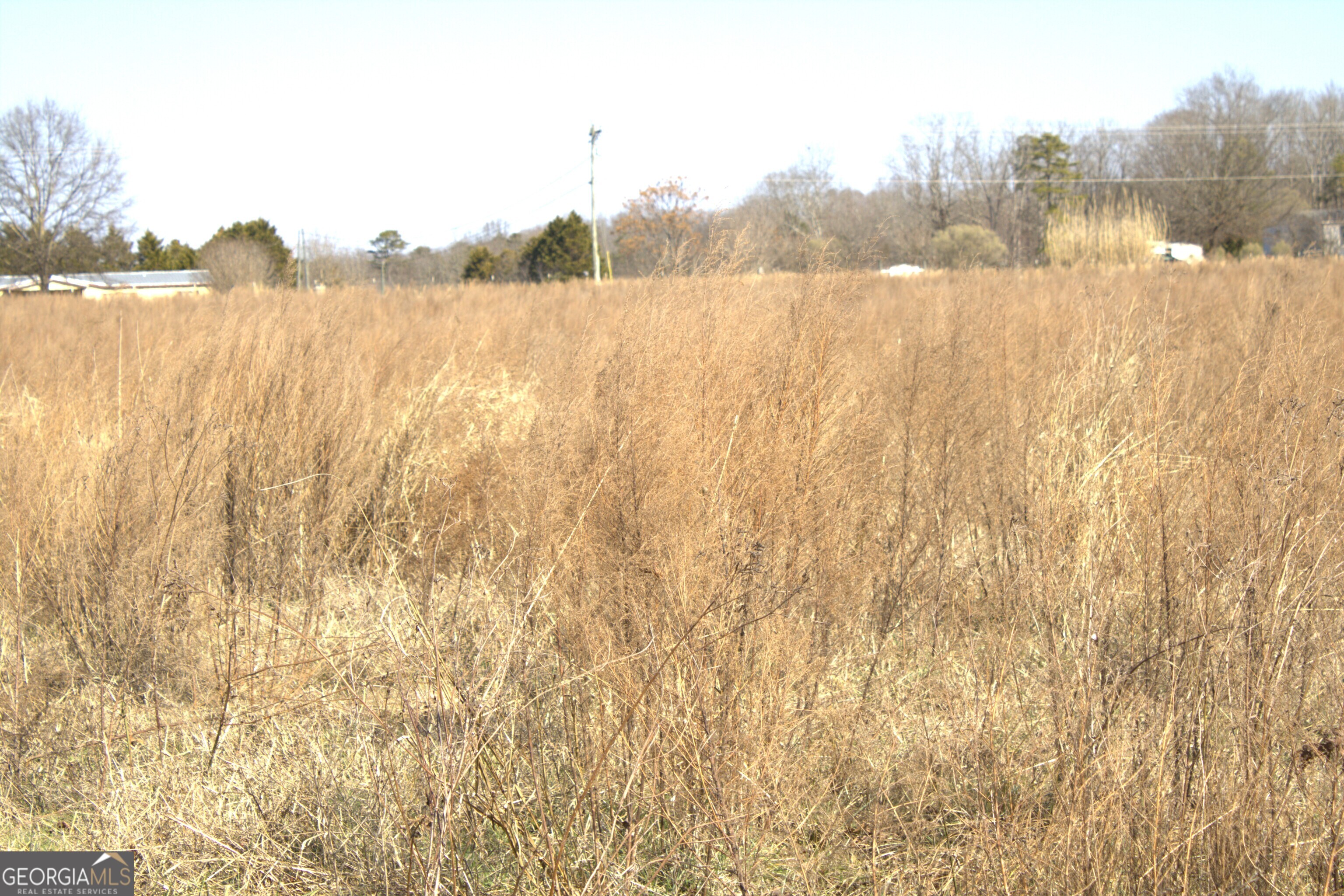 0 Nancy Hart School Road Hartwell, GA 30643 - Photo 7 of 10