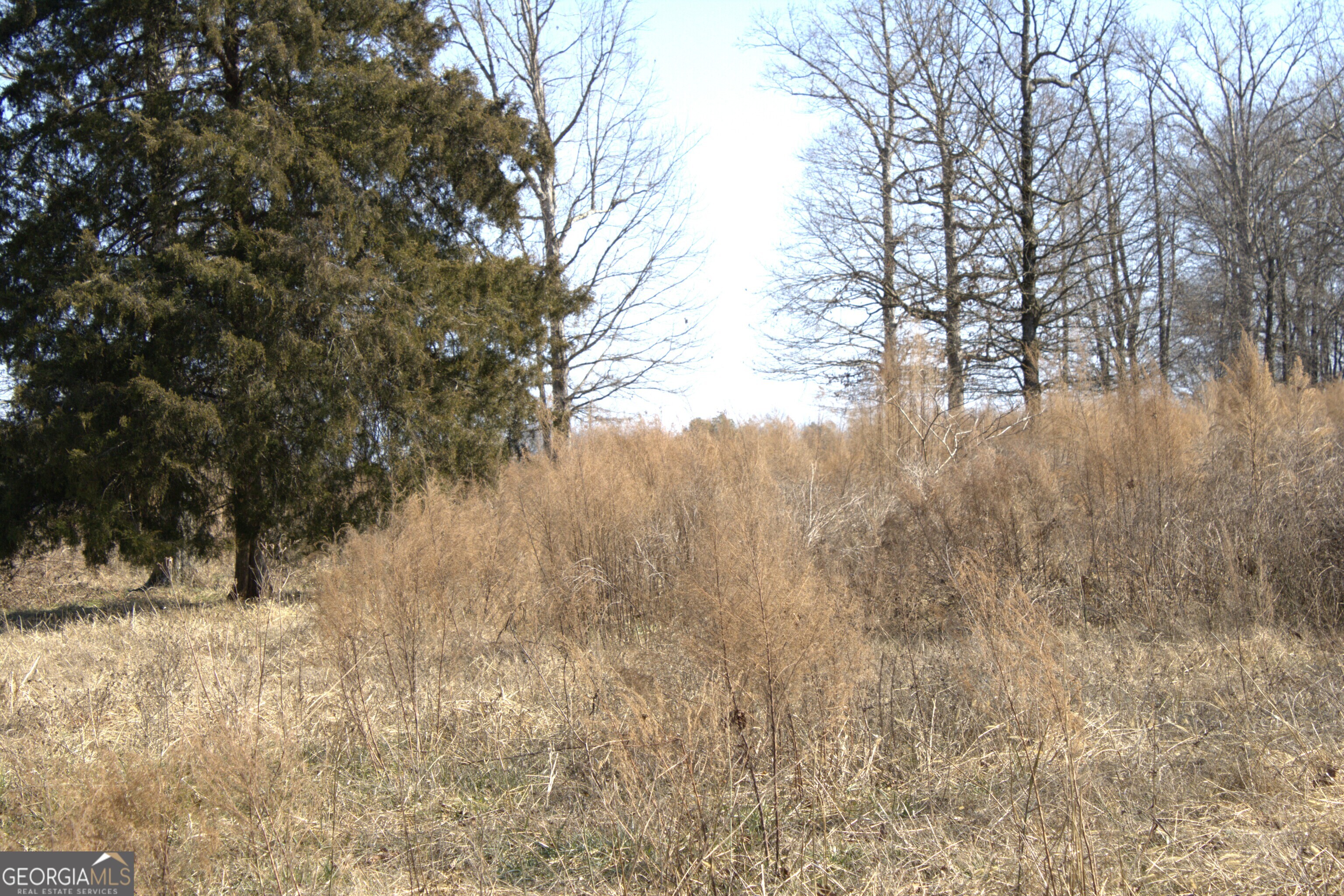 0 Nancy Hart School Road Hartwell, GA 30643 - Photo 8 of 10