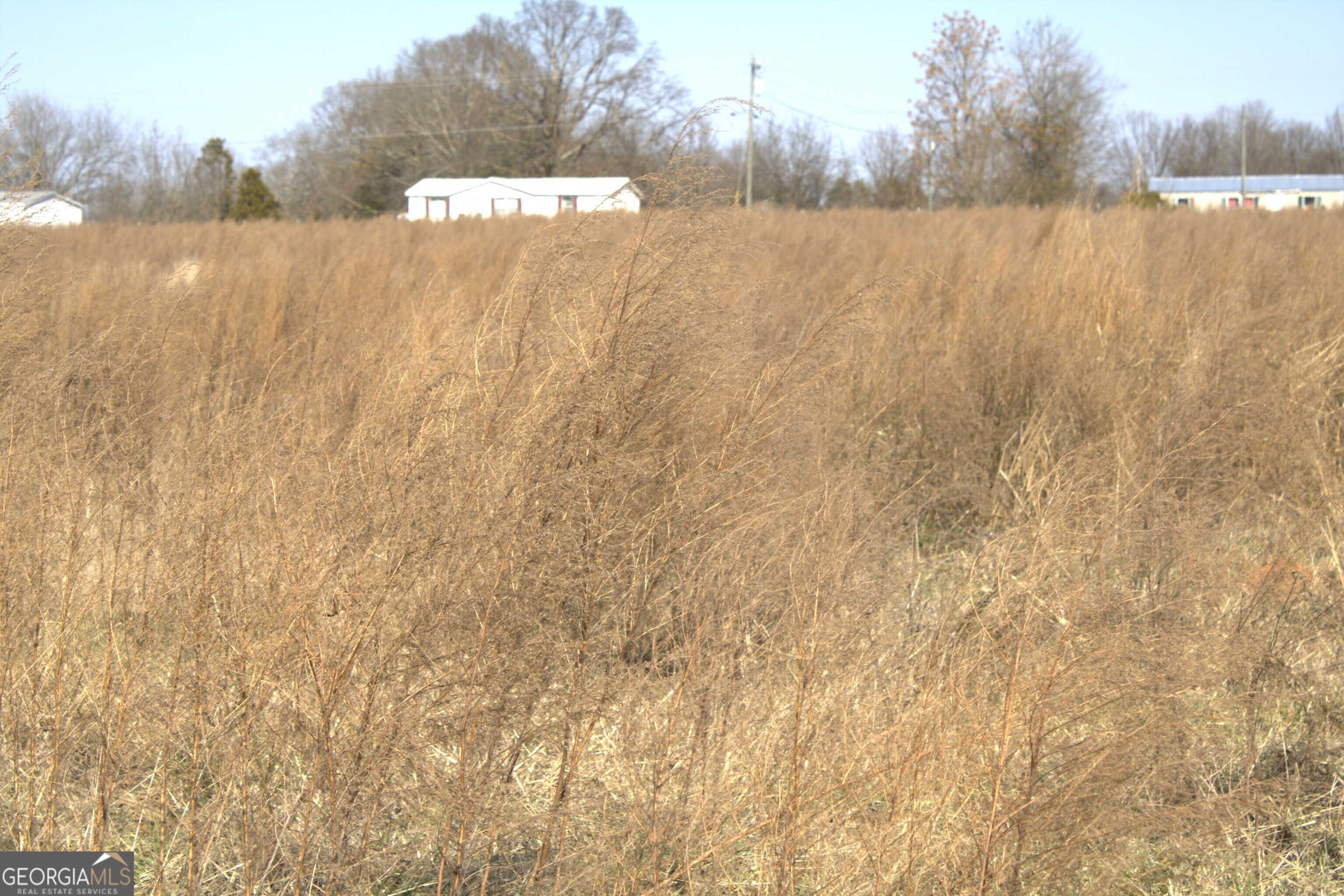 0 Nancy Hart School Road Hartwell, GA 30643 - Photo 9 of 10