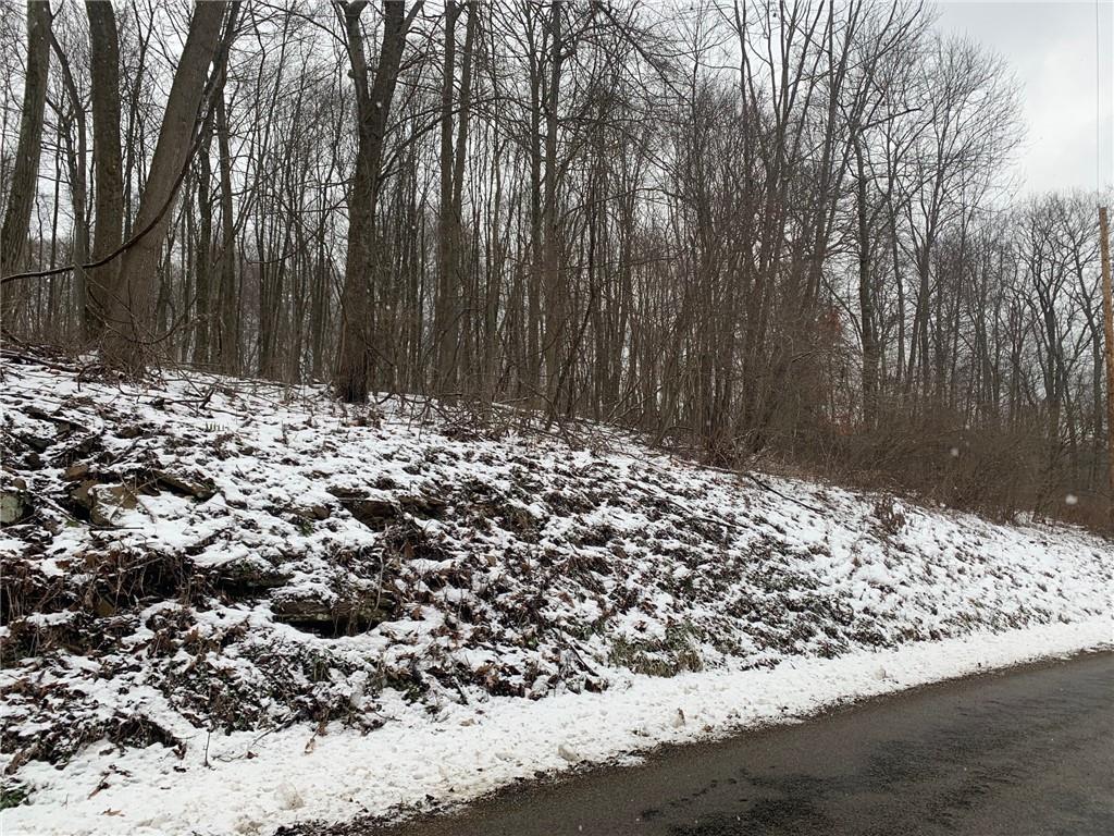0 Thorn Run Road Butler, PA 16001 - Photo 1 of 7 a view of a road with a tree