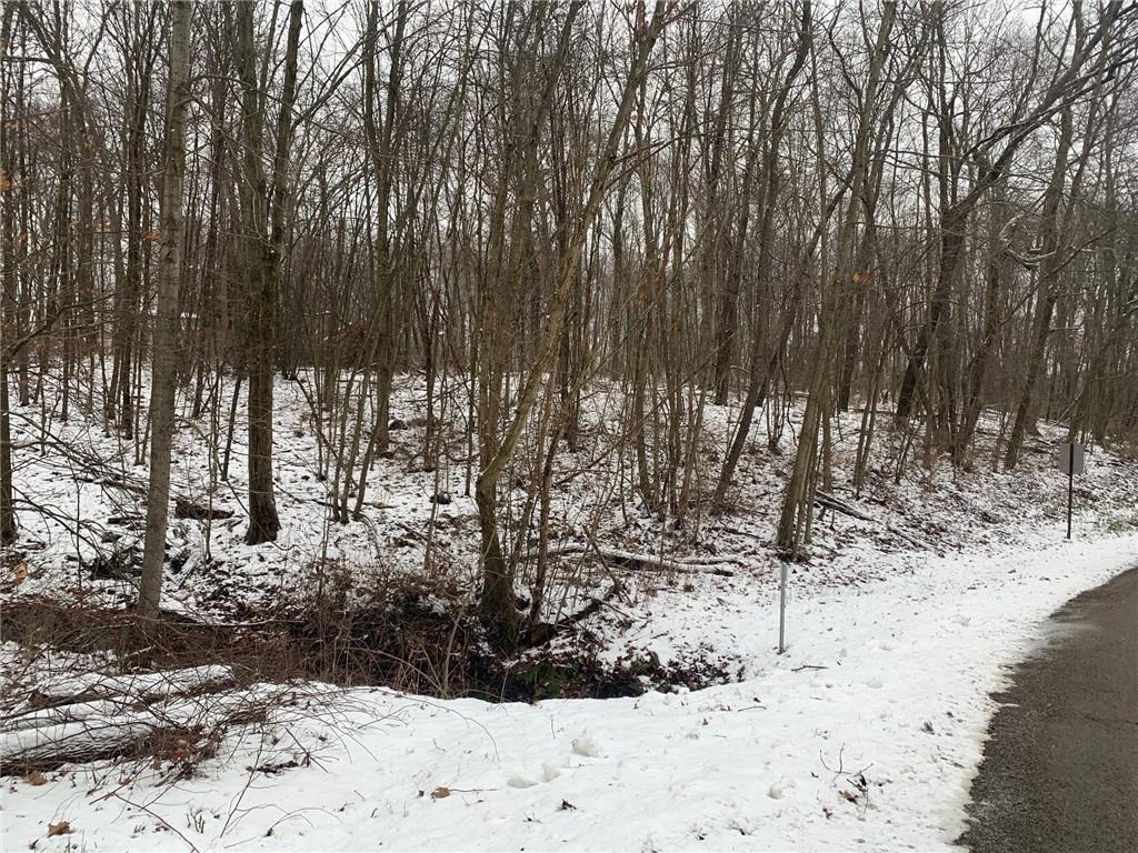 0 Thorn Run Road Butler, PA 16001 - Photo 3 of 7