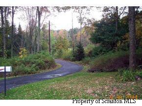 0 Perry Road Prompton, PA 18456 - Photo 1 of 2 Additional Photo