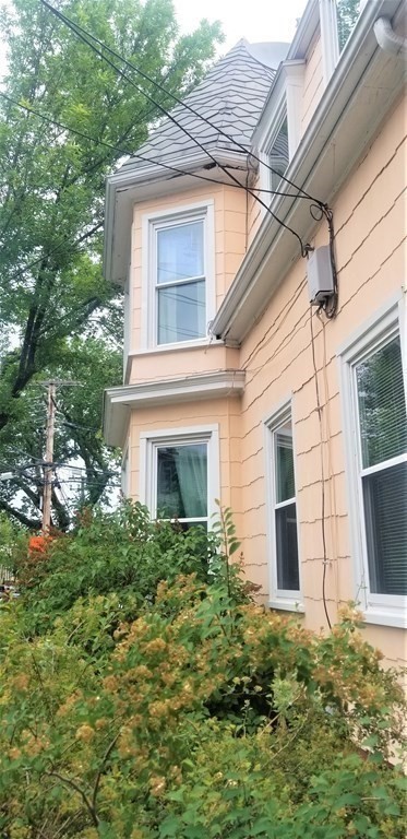 a front view of a house with plants