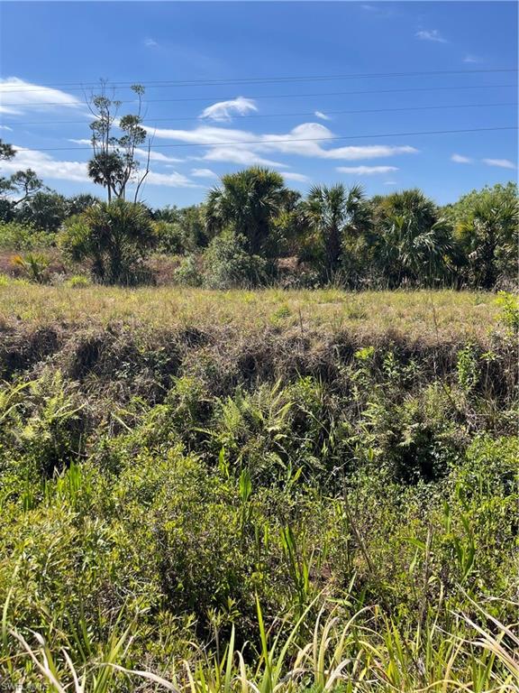 504 East Goodno Road LaBelle, FL 33935 - Photo 8 of 9 a view of a lake with a city
