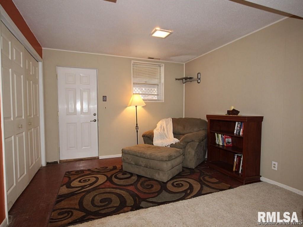 538 Sattley Street Rochester, IL 62563 - Photo 11 of 24