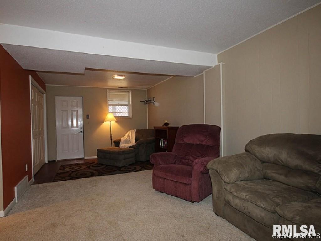 538 Sattley Street Rochester, IL 62563 - Photo 12 of 24