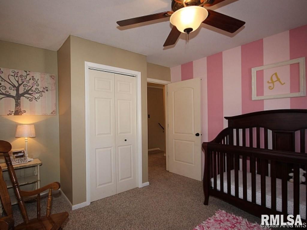 538 Sattley Street Rochester, IL 62563 - Photo 14 of 24