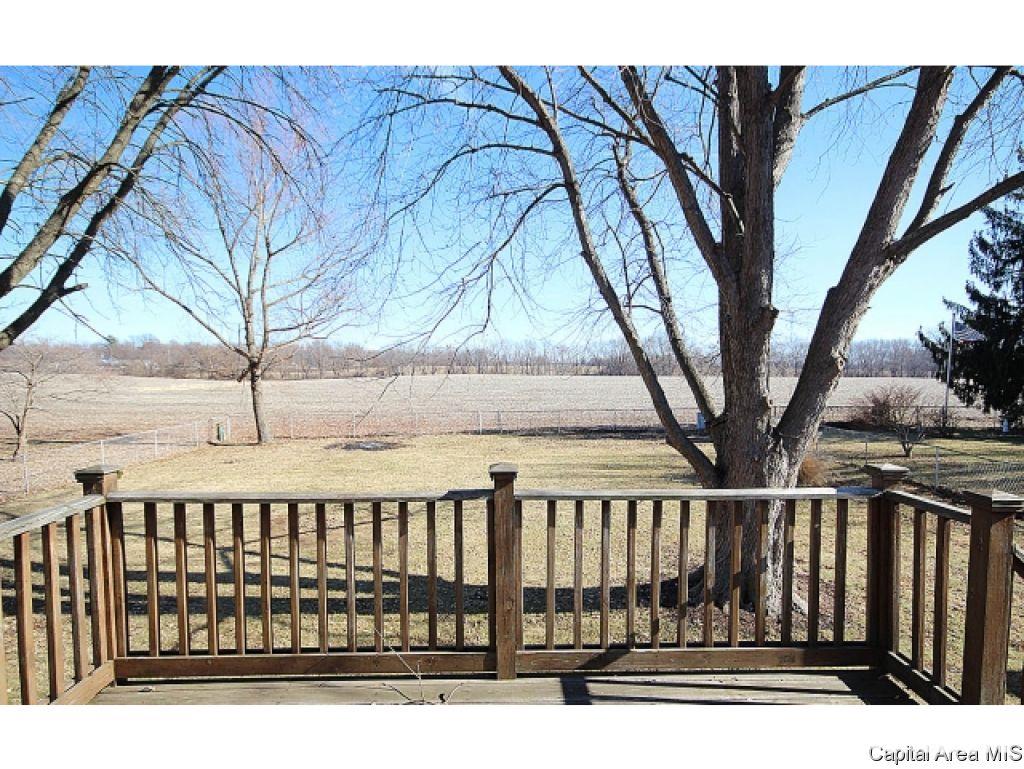 538 Sattley Street Rochester, IL 62563 - Photo 2 of 24