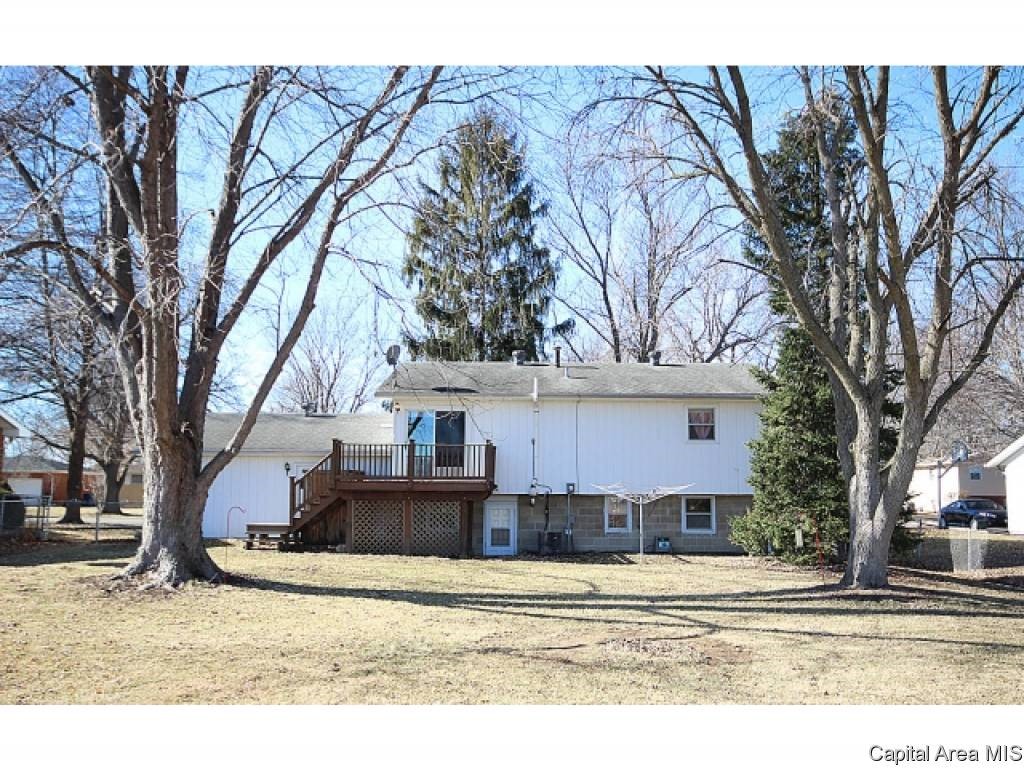 538 Sattley Street Rochester, IL 62563 - Photo 4 of 24