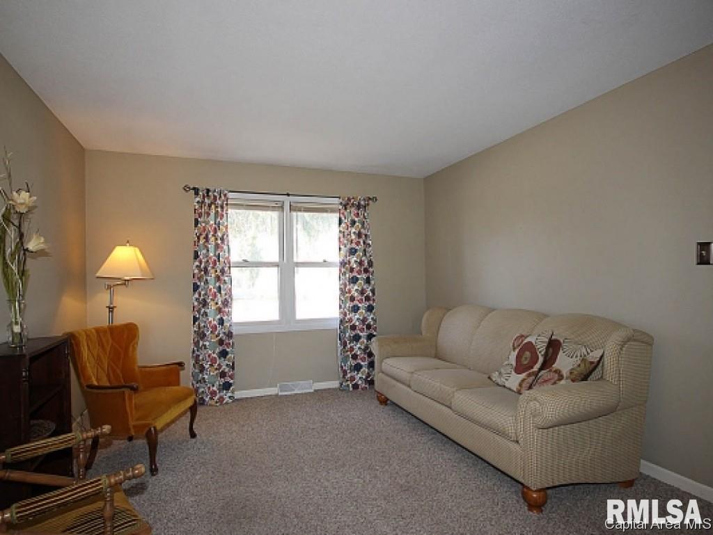 538 Sattley Street Rochester, IL 62563 - Photo 7 of 24