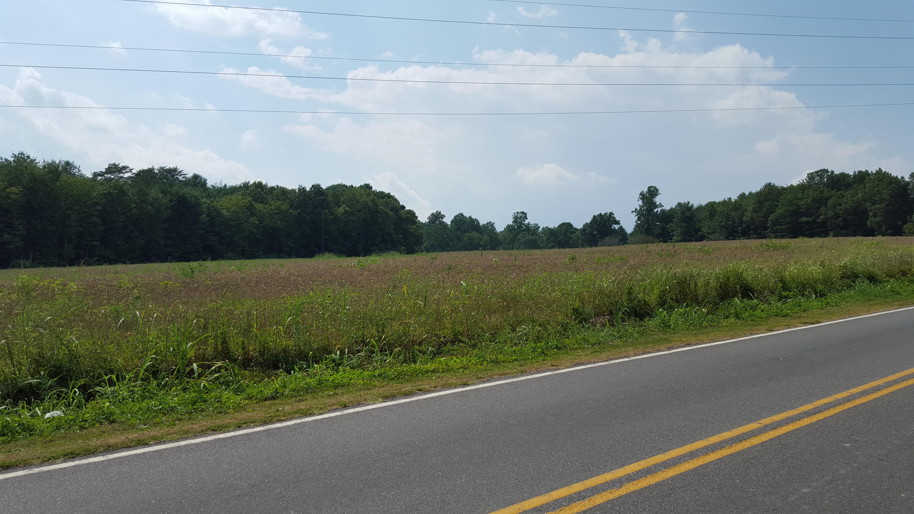 0 Davis Mill Road Rocky Mount, VA 24151 - Photo 2 of 7 a view of a green field with wooden fence