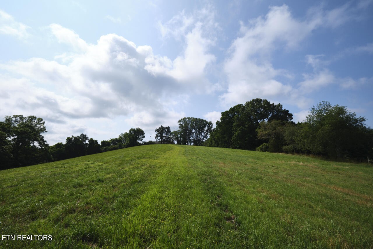 1526 Long Hollow Road La Follette, TN 37766 - Photo 40 of 60 Gallery Image 40
