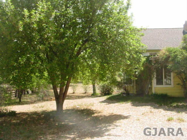 689 26 Road Grand Junction, CO 81505 - Photo 14 of 17 Gallery Image 14