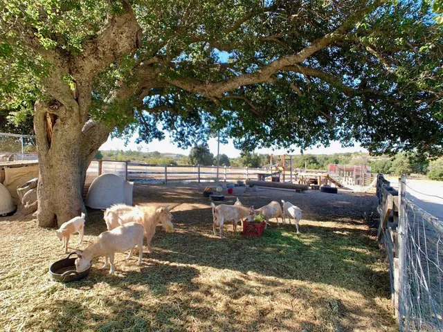 a view of a lake with houses