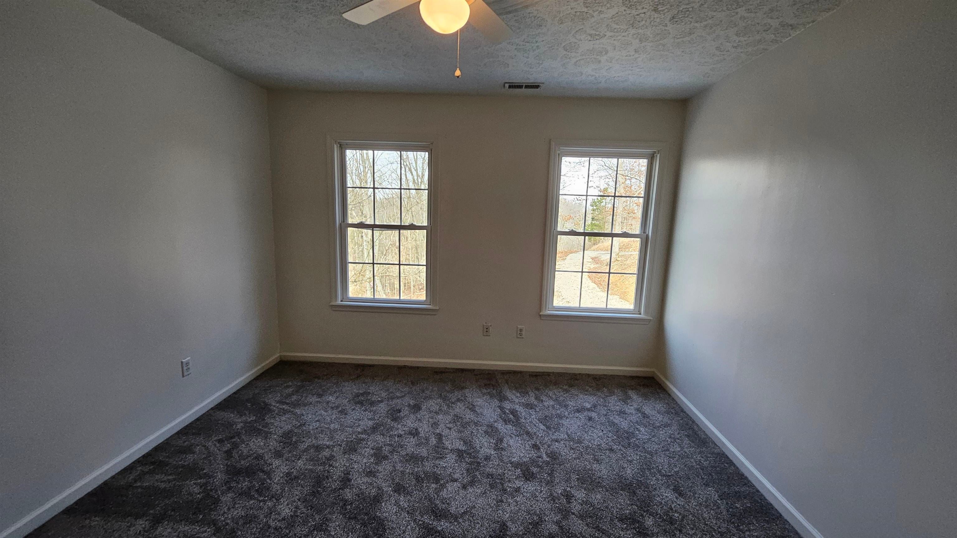 290 Ridgeview Drive Lavalette, WV 25535 - Photo 16 of 22 Gallery Image 16