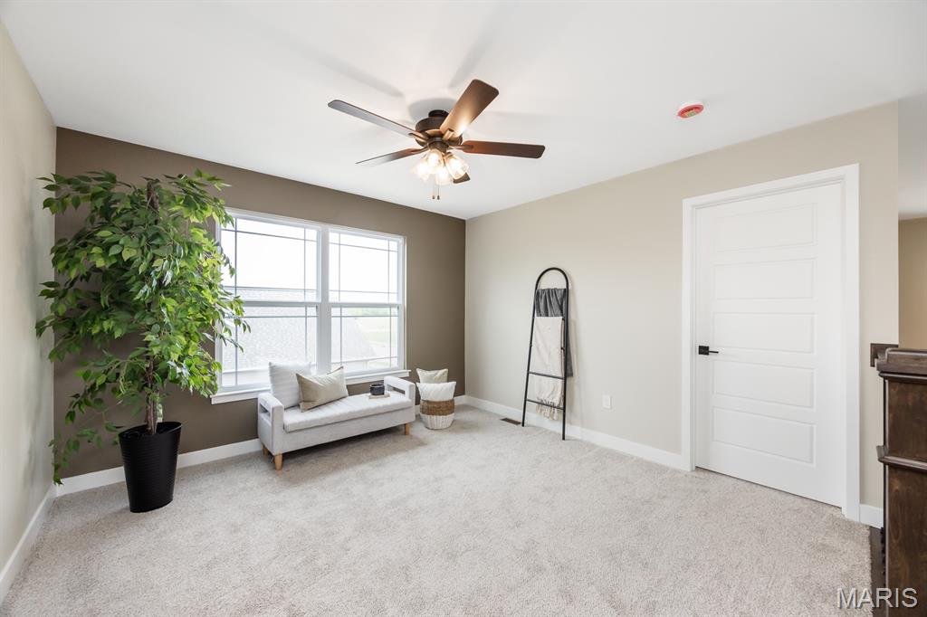 3716 Osprey Court Shiloh, IL 62221 - Photo 18 of 41