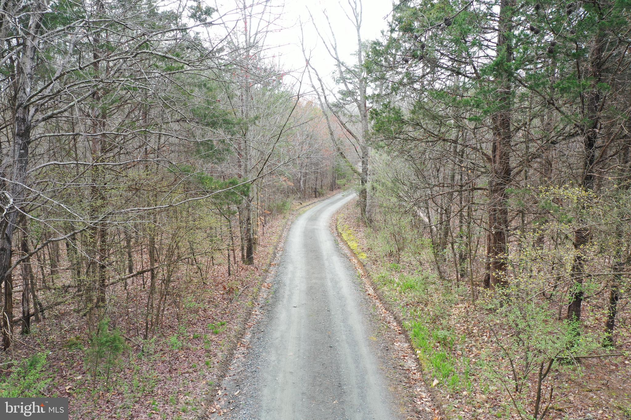 Oakland Road Louisa, VA 23093 - Photo 1 of 14