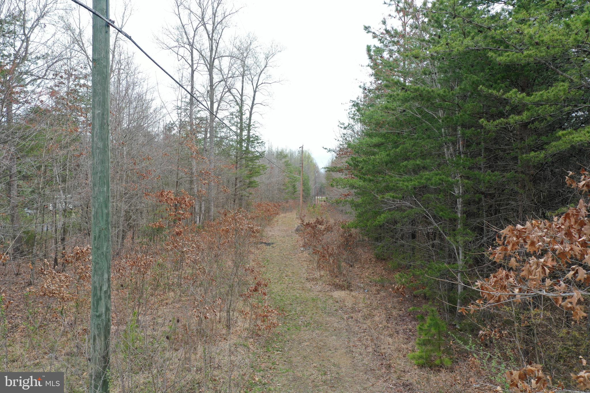 Oakland Road Louisa, VA 23093 - Photo 9 of 14